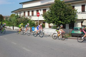 IMG 6587